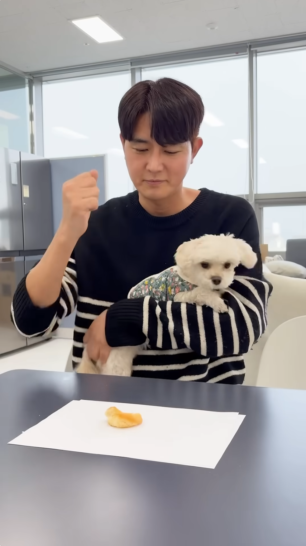 대표님 싫으면 말로 하세요😢
