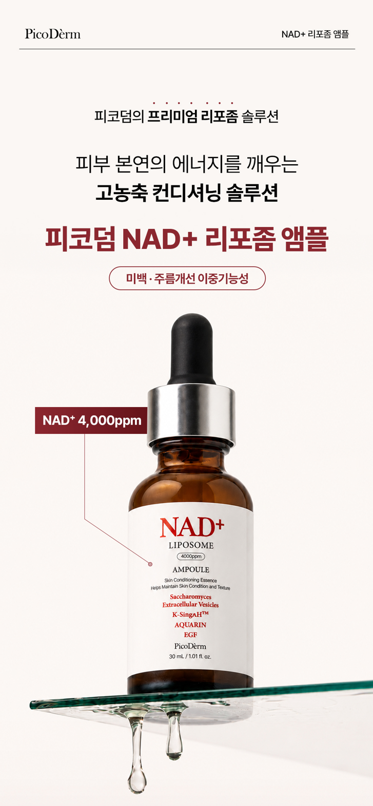 피코덤 엔에이디플러스 리포좀 앰플